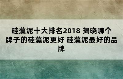 硅藻泥十大排名2018 揭晓哪个牌子的硅藻泥更好 硅藻泥最好的品牌